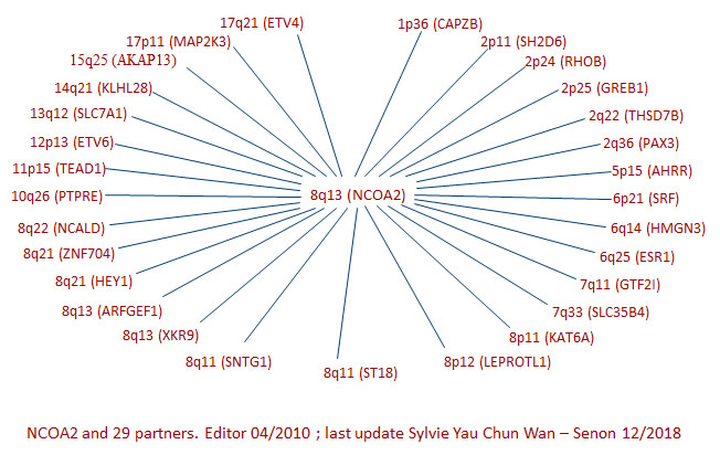 NCOA2 partners